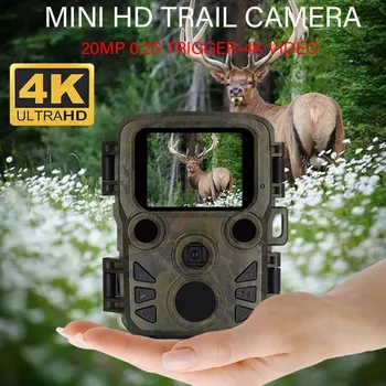 4K Наружная мини-камера для слежения 20 МП 1080P Инфракрасное ночное видение Движение IP66 Водонепроницаемый Дикая Ловушка Игра Охота Фотоловушки