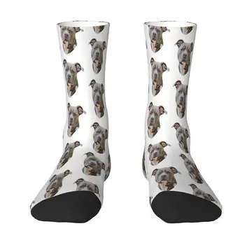 Американский стаффордширский терьер собака мультяшный дизайн животные носки носки мужчины женщины полиэстер чулки настраиваемый смешной